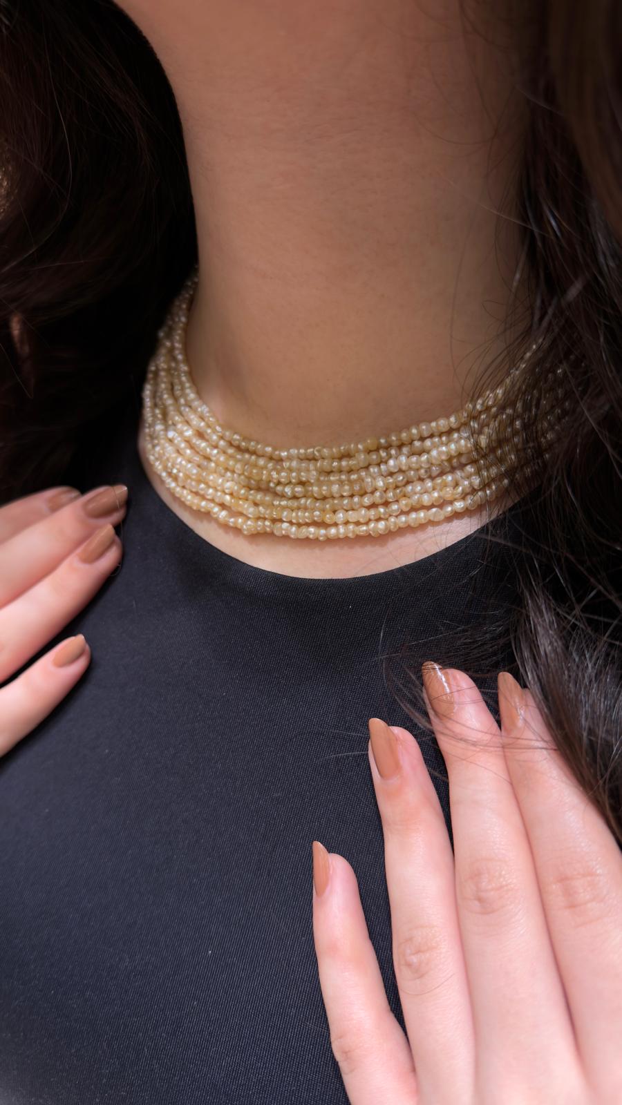 WhatsApp Image 2026-04-04 at 7.47.14 PM